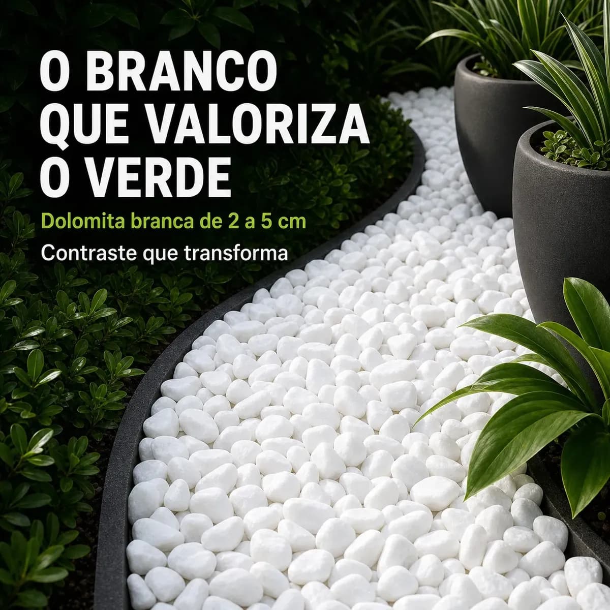 10kg Pedra Dolomita Branca Seixo Natural Para Jardim 2-5cm Branco 2 Cm 5 Cm