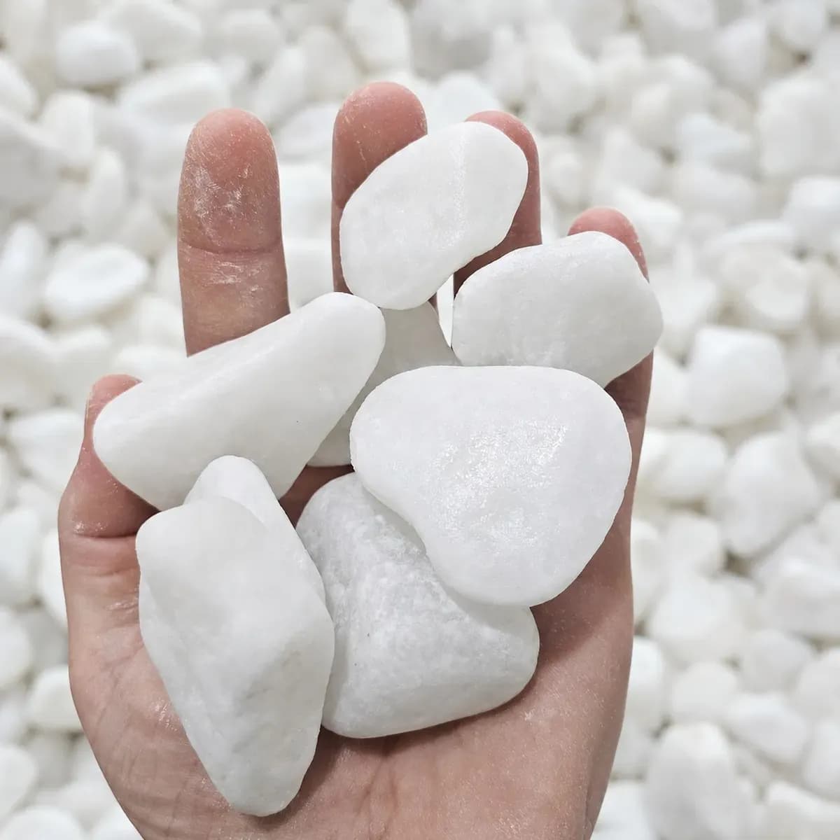 10kg Pedra Branca Dolomita Para Vasos Jardim E Paisagismo Branco 2 Cm 5 Cm